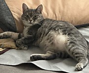 Царствуй, лежа на боку